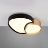 Trio Lighting Stropné svietidlo LED Rise, čierno-zlaté, 43 x 36 cm, CCT, stmievateľné - 647510280