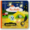 Na stavbe Kniha so svetielkami