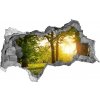Nálepka fototapeta 3D výhľad Stromy v parku 95x73 cm
