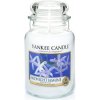 YANKEE CANDLE MIDNIGHT JASMINE 623 G