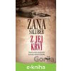E-kniha Z jej krvi - Zana Saluber