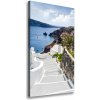 Vertikálny foto obraz na plátne Santorini Grécko 50x100 cm
