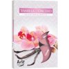 Aura vonné čajové sviečky vanilka orchidea 6ks