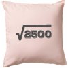 Narodeniny odmocniny 50 - Vankúš 50x50 - 50x50 - Iba poťah ( Svetloružová )