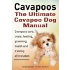 Cavapoos: The Ultimate Cavapoo Dog Manual