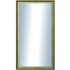 DANTIK - Zrkadlo v rámu, rozmer s rámom 50x90 cm z lišty Ferrosa zlatá (3142)