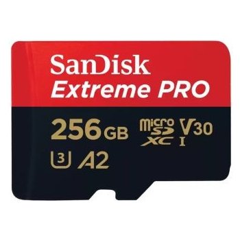 SanDisk SDXC Class 10 256GB SDSQXCD-256G-GN6MA