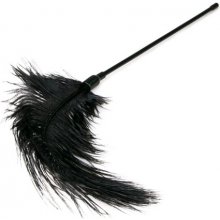 Easytoys Fetish Collection Black Feather Tickler