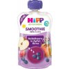 Hipp BIO Smoothie MIX Jablko Hruška Čučoriedky vrecko 120 ml