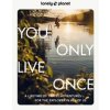 You Only Live Once 2