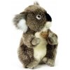 Rappa Plyšová koala 22 cm ECO-FRIENDLY