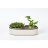 Plastia Velká farma Microgreens+Regrow Slonová kosť s kávovou sídlinou