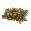 Salvia Paradise Hloh obecný květ 50 g