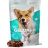 Geloren dog S-M kĺbová výživa pre malých psov 180g 60 ks