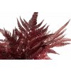 Stabilizovaná papraď červená - Fern Leather