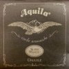 Aquila 104U