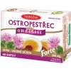 Terezia Company TEREZIA Pestrec + Reishi forte 60 kapsúl