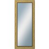 DANTIK - Zrkadlo v rámu, rozmer s rámom 50x120 cm z lišty PRAHA zlatá (2752)