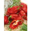 Tradičné osivá - Chilli Paprika – Habanero Red (Capsicum chinense)