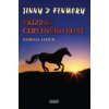Jinny z Finmory Přízrak červeného koně (Patricia Leitch)