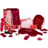 Dream Toys Amour The Magic of Love Wonderful Wand Kit