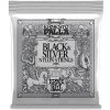Ernie Ball 2406 Ernesto Palla Black & Silver