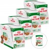Royal Canin Mini Adult 48 x 85 g
