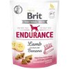 Brit Care Dog Functional Snack Endurance Lamb 150g