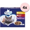 PreVital Cat kura hovädzie králik morka v želé 48 x 100 g