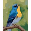 zuty Zuty - Maľovanie Podľa Čísel - Modrý Vtáčik (Myroslava Voloschuk), 40X50 Cm, Plátno+Rám (8596530222293)