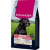 Eukanuba Senior Large Breeds Chicken suché krmivo pre starších psov veľkých plemien 15 kg