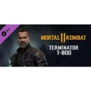 Mortal Kombat 11 Terminator T-800