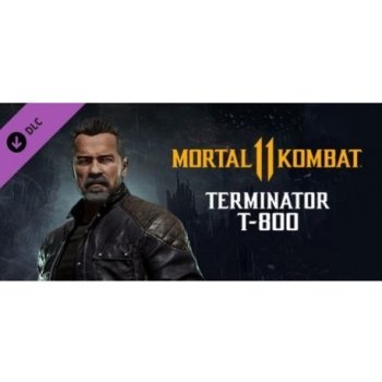 Mortal Kombat 11 Terminator T-800