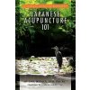 Japanese Acupuncture 101 (Carl Dom Dipl Ac Wagner)(Brožovaná)