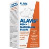 ALAVIS MSM + Glukosamin sulfát kĺbová výživa pre psy 60 tbl