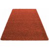 Najkoberce Shaggy Life terra 60x110 cm