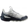 Pánska outdoorová obuv Salomon ELIXIR ACTIV Glacier Gray/Carbon/Slate Green UK 8