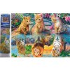 Norimpex Diamantové maľovanie Mačacie sny 30 x 40 cm