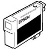 EPSON T642 Cleaning Cartridge (C13T642000)