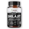 Blendea Shilajit extrakt 60 kapslí