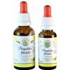 Salvia Paradise Pampeliška lékařská AF tinktura 50 ml