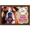Anglický buldog – rohožka pred dvere (60 × 40 cm)