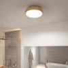Paulmann Oka LED svetlo IP44 CCT vzhľad dreva - 71083