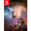 Big Huge Games Kingdoms of Amalur: Re-Reckoning (SWITCH) Nintendo Key 10000206375021