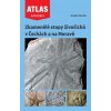 Zkamenělé stopy živočichů v Čechách a na Moravě - Radek Mikuláš