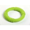 KIWI Walker Lietajúci kruh, 18 cm, zelená