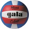 Volejbalová lopta Gala Mini Pro-line BV 4051 (8590001100844)