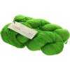 Wool Star 3829 kiwi