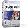Supreme Science Recovery Plus 10x20 g