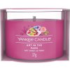 Yankee Candle Art in the Park 37 g